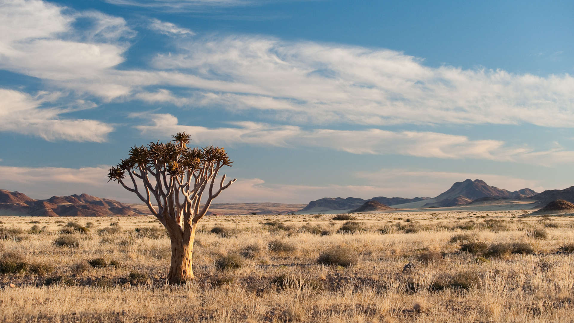 O melhor da Namíbia